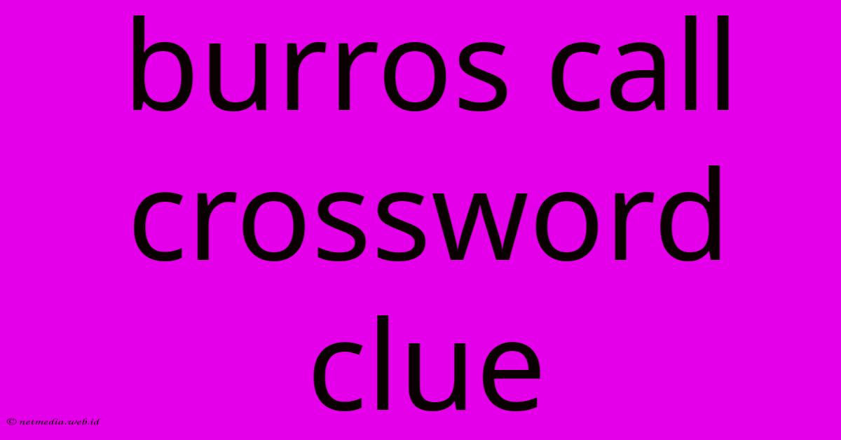 Burros Call Crossword Clue Burros Call Crossword Clue