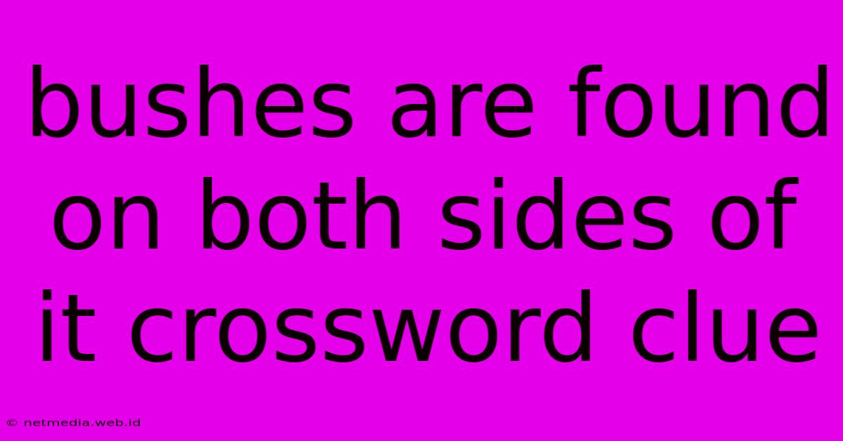 Bushes Are Found On Both Sides Of It Crossword Clue