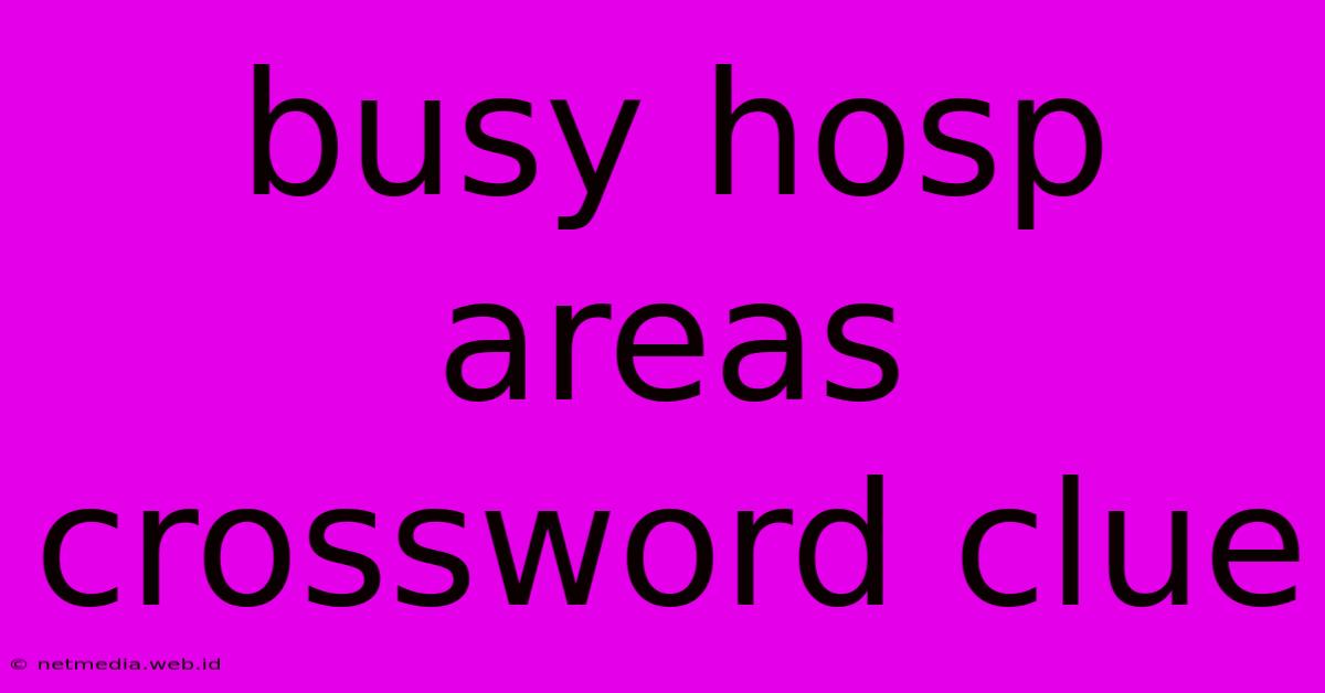 Busy Hosp Areas Crossword Clue