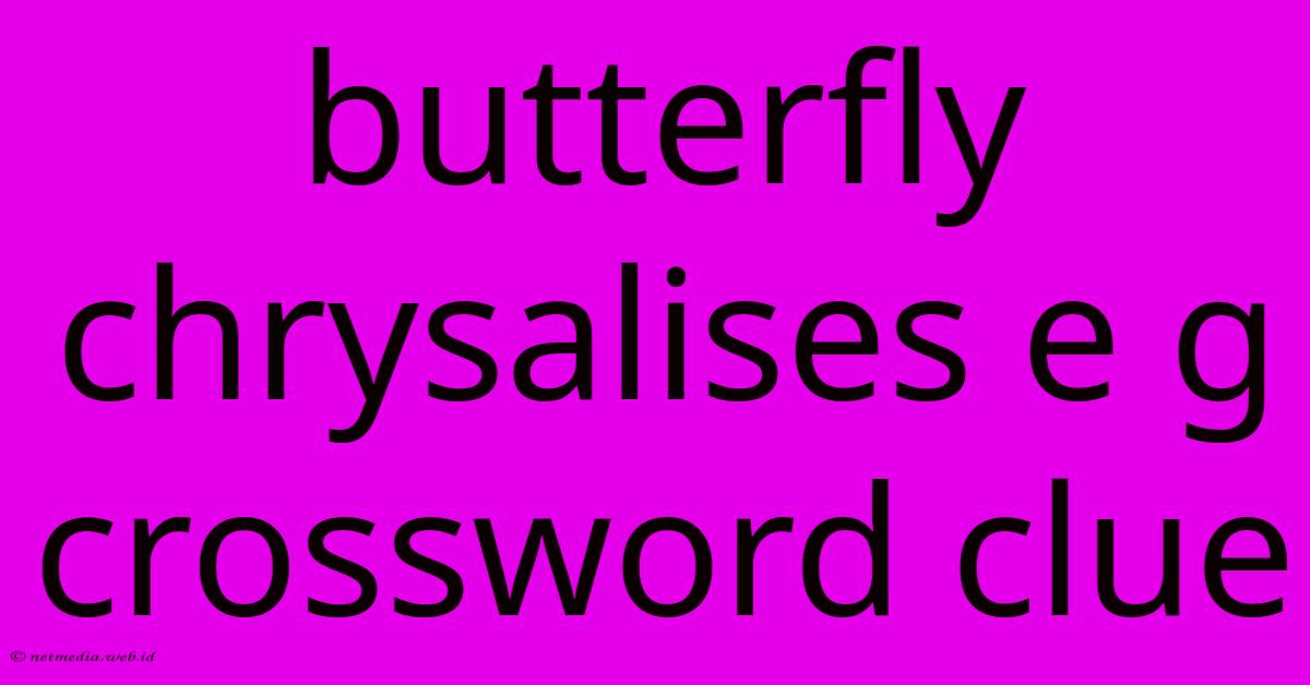 Butterfly Chrysalises E G Crossword Clue Butterfly Chrysalises E G Crossword Clue
