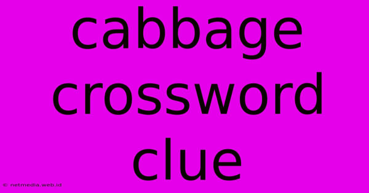 Cabbage Crossword Clue