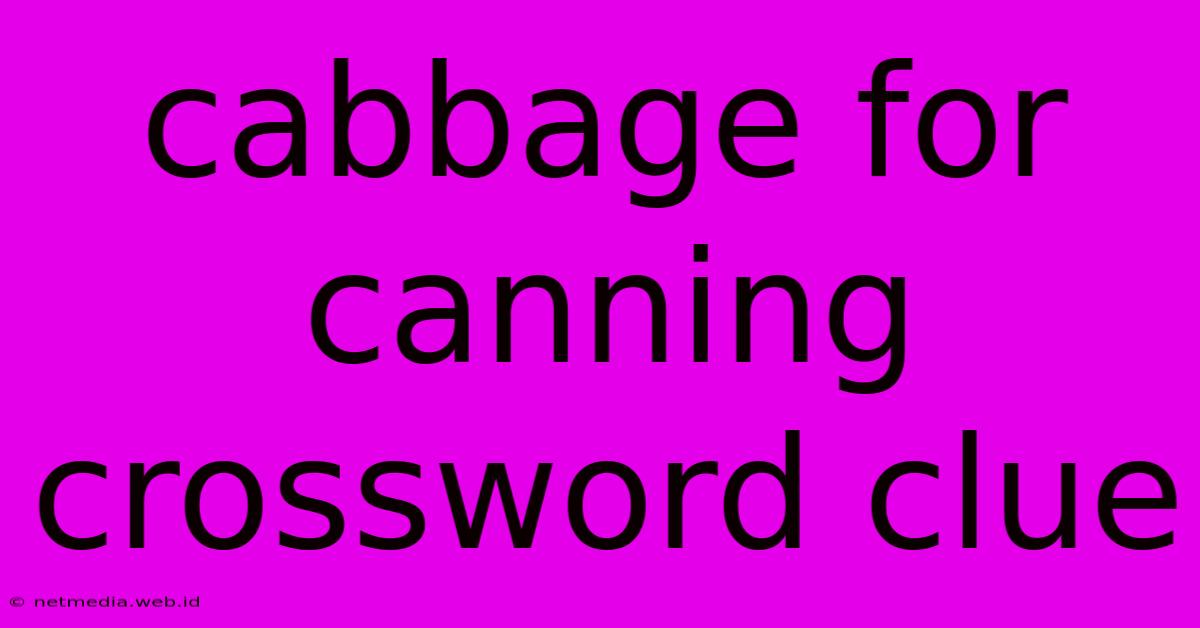 Cabbage For Canning Crossword Clue