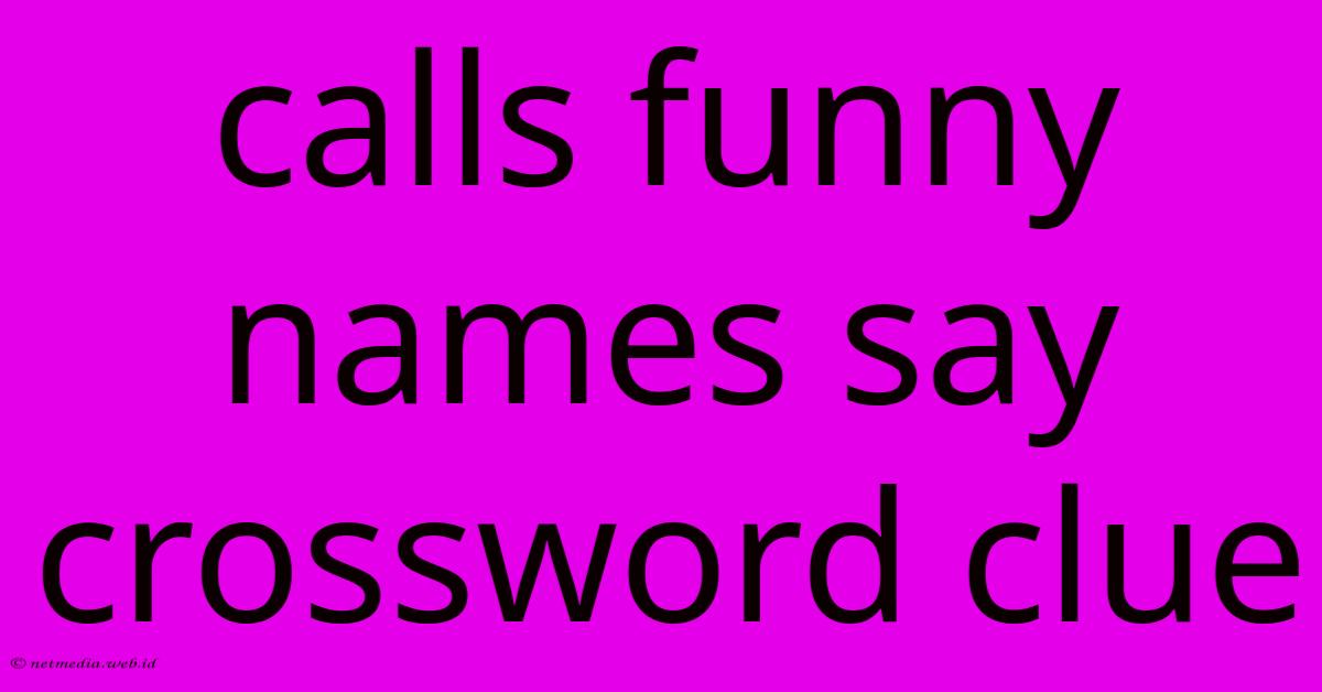 Calls Funny Names Say Crossword Clue Calls Funny Names Say Crossword Clue