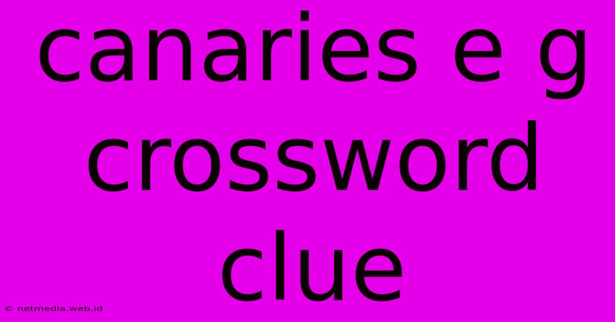 Canaries E G Crossword Clue