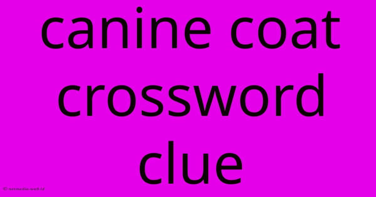 Canine Coat Crossword Clue Canine Coat Crossword Clue