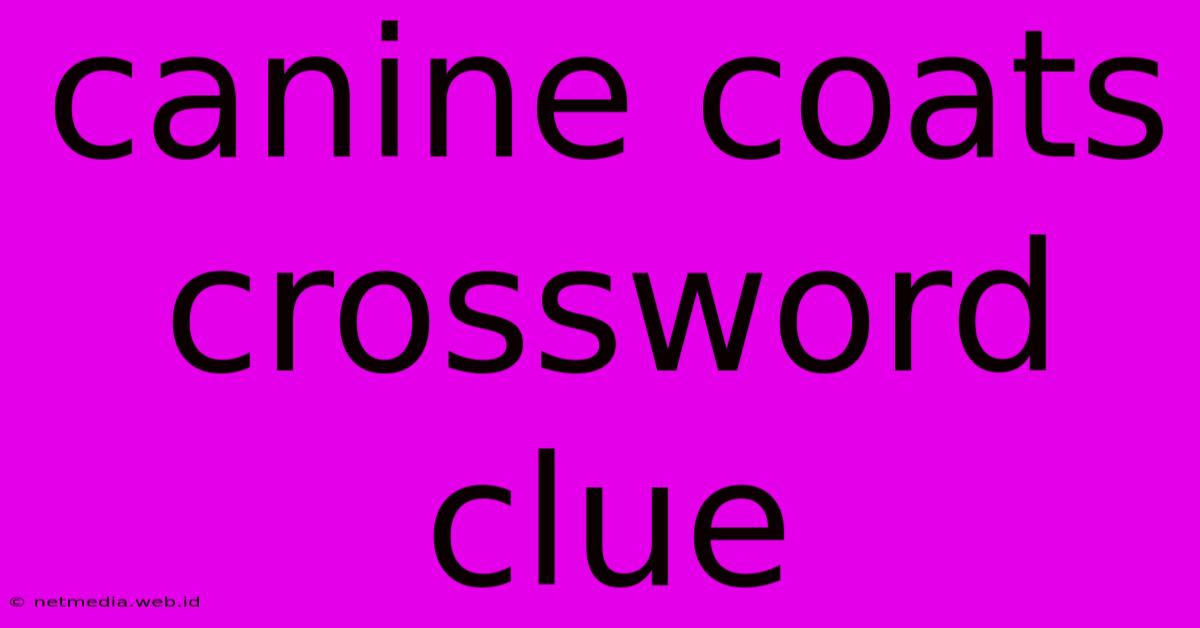 Canine Coats Crossword Clue