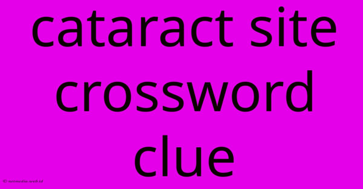 Cataract Site Crossword Clue Cataract Site Crossword Clue