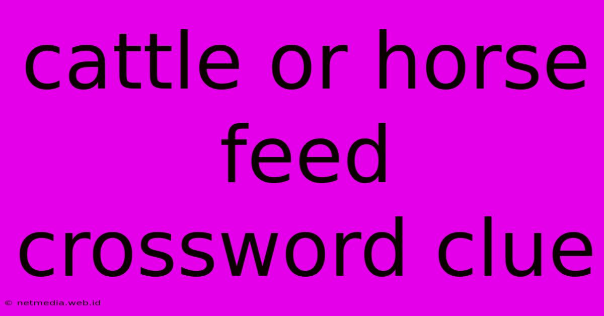 Cattle Or Horse Feed Crossword Clue