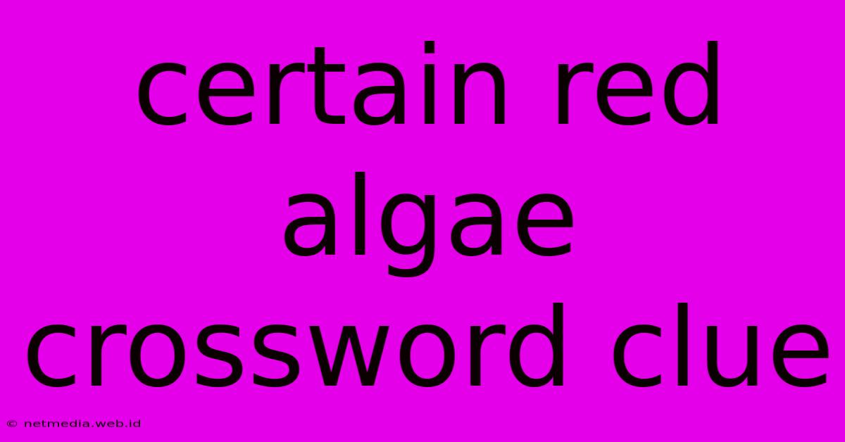 Certain Red Algae Crossword Clue