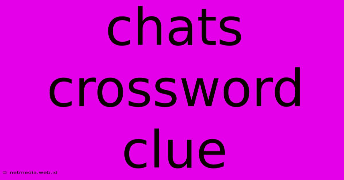 Chats Crossword Clue