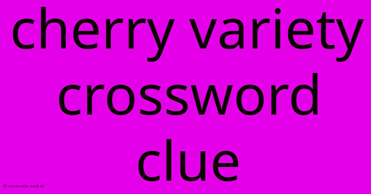 Cherry Variety Crossword Clue