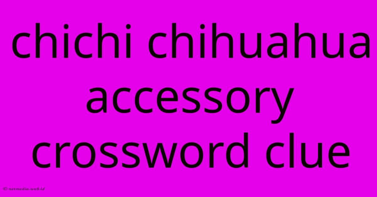 Chichi Chihuahua Accessory Crossword Clue