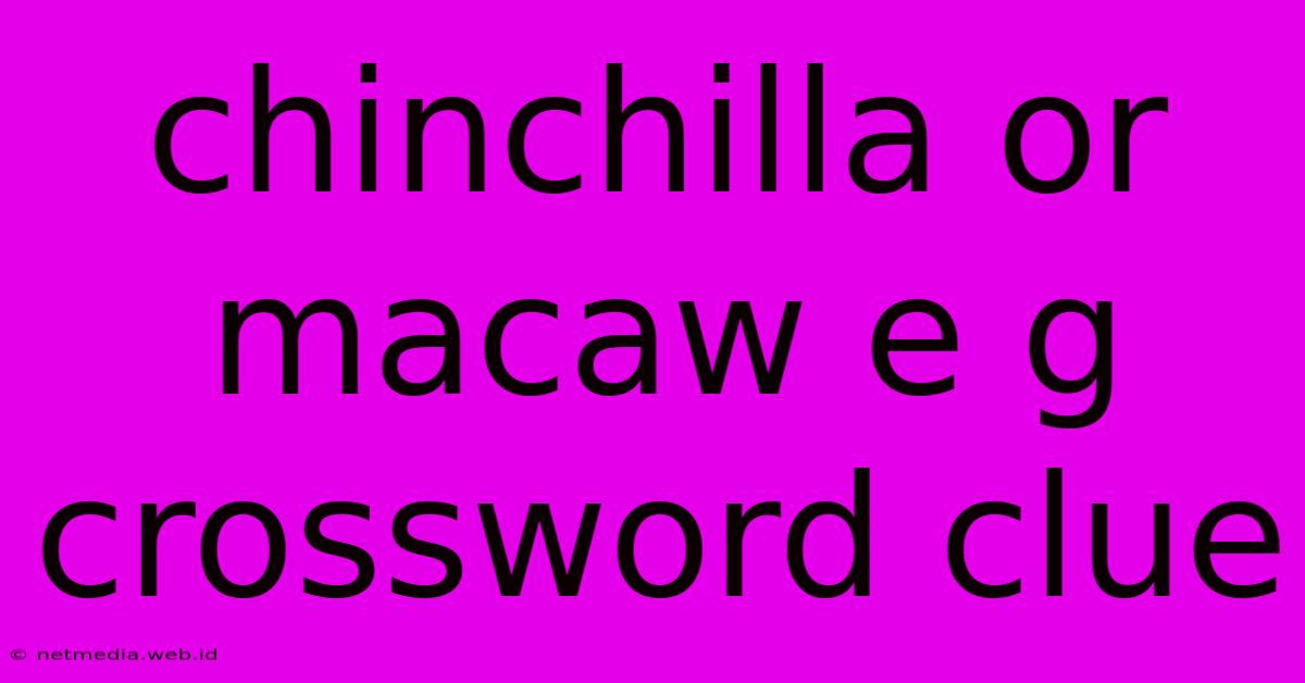 Chinchilla Or Macaw E G Crossword Clue