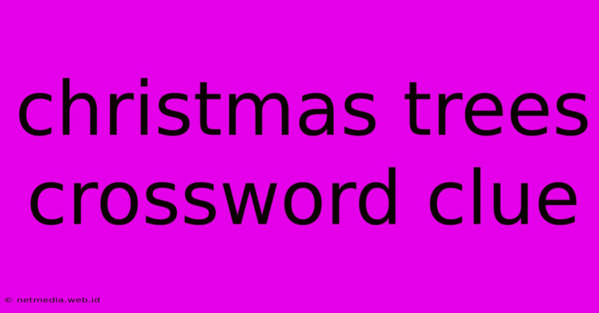 Christmas Trees Crossword Clue