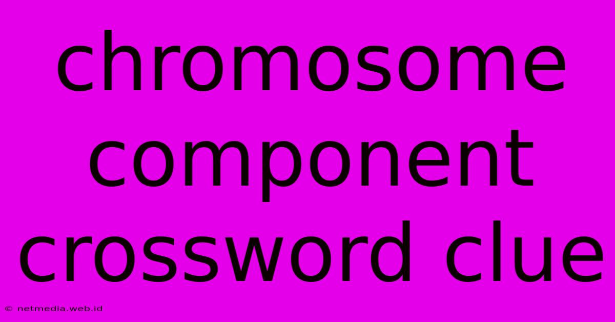 Chromosome Component Crossword Clue