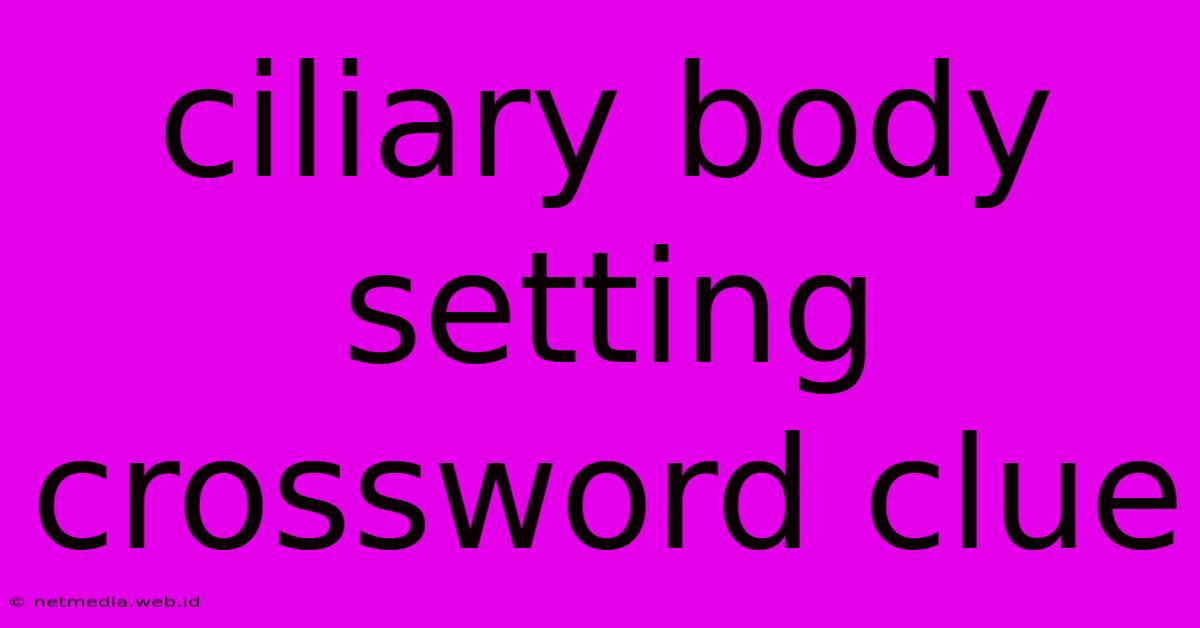 Ciliary Body Setting Crossword Clue