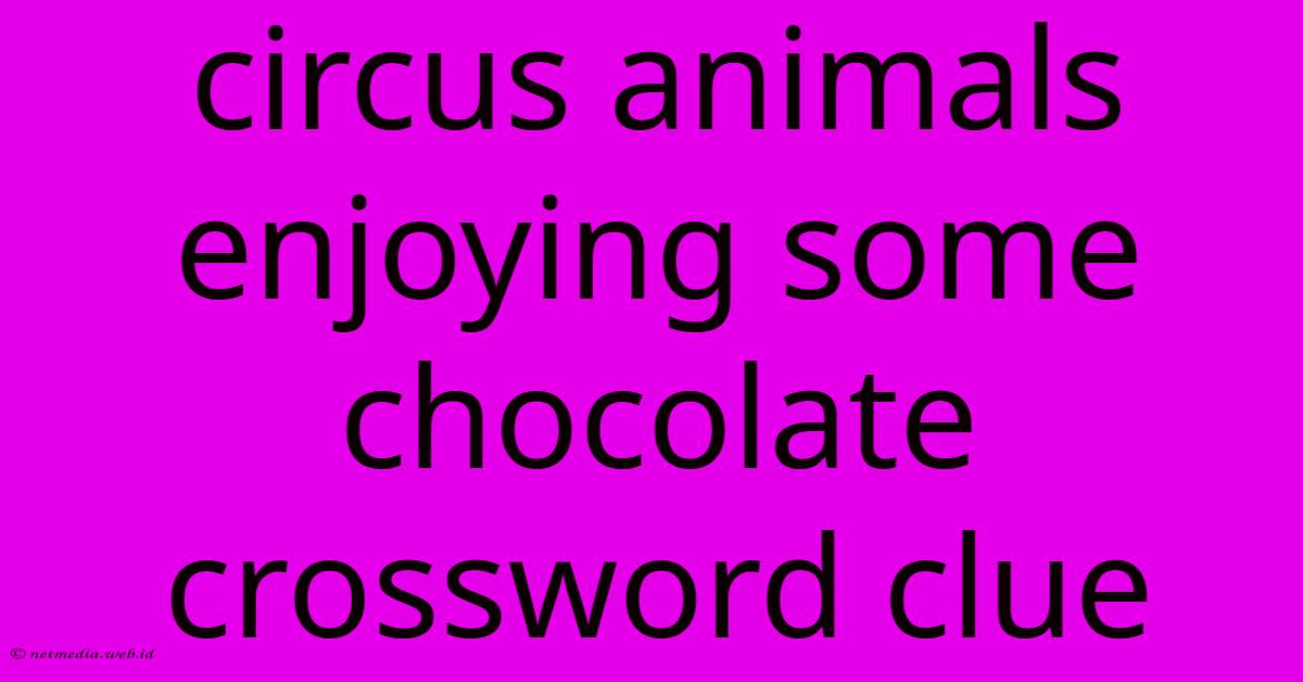 Circus Animals Enjoying Some Chocolate Crossword Clue