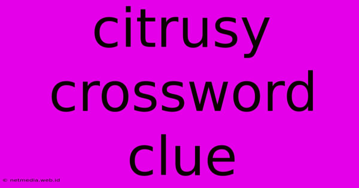 Citrusy Crossword Clue