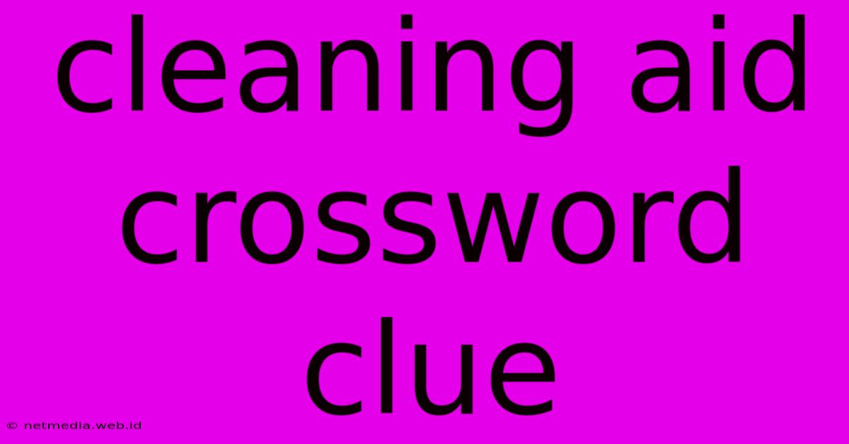 Cleaning Aid Crossword Clue