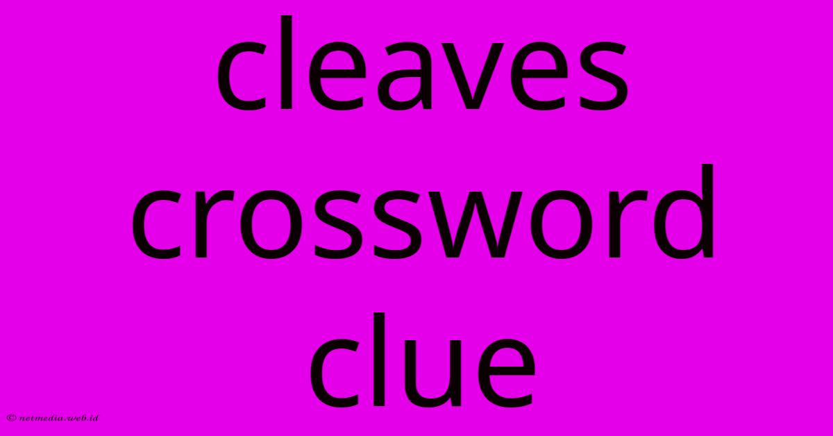 Cleaves Crossword Clue