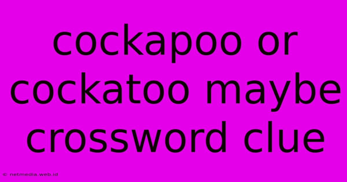 Cockapoo Or Cockatoo Maybe Crossword Clue