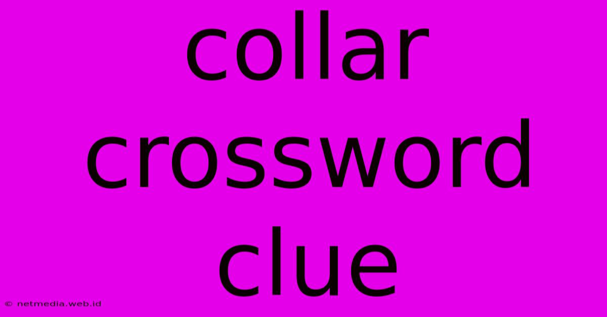 Collar Crossword Clue