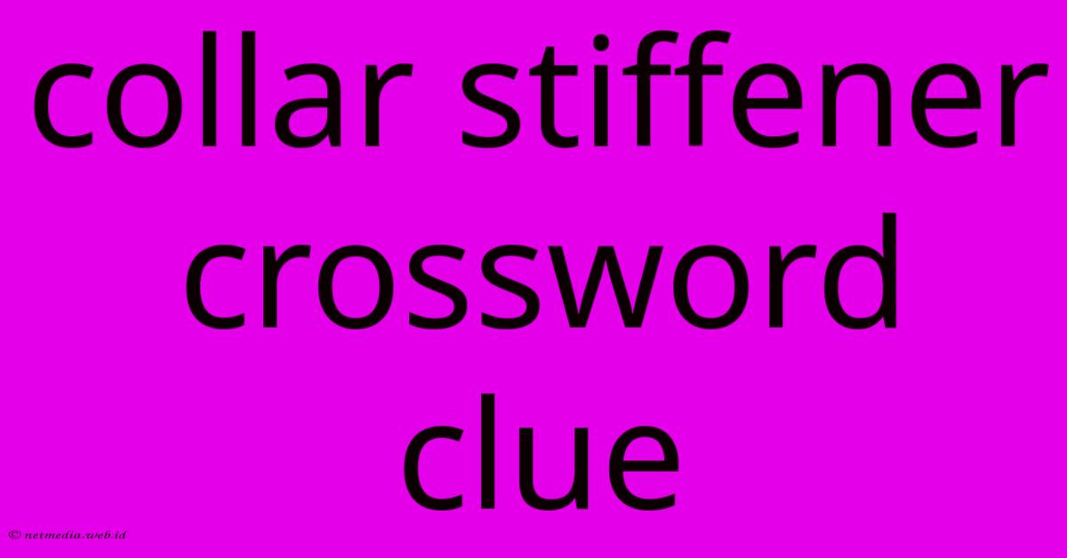 Collar Stiffener Crossword Clue