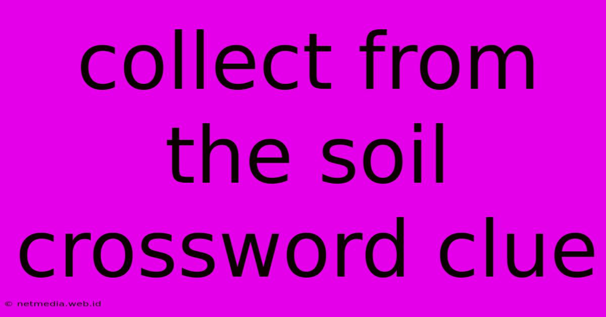 Collect From The Soil Crossword Clue