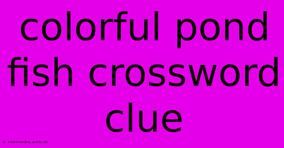 Colorful Pond Fish Crossword Clue