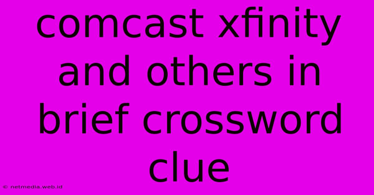 Comcast Xfinity And Others In Brief Crossword Clue