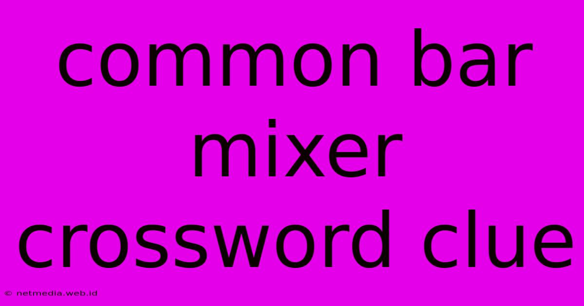 Common Bar Mixer Crossword Clue