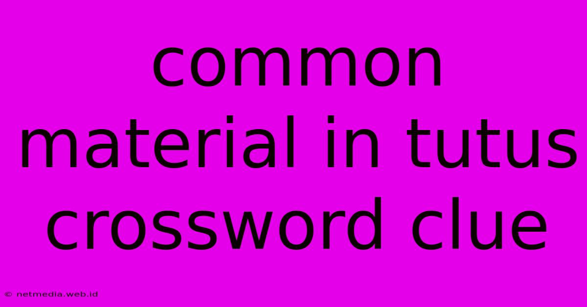 Common Material In Tutus Crossword Clue