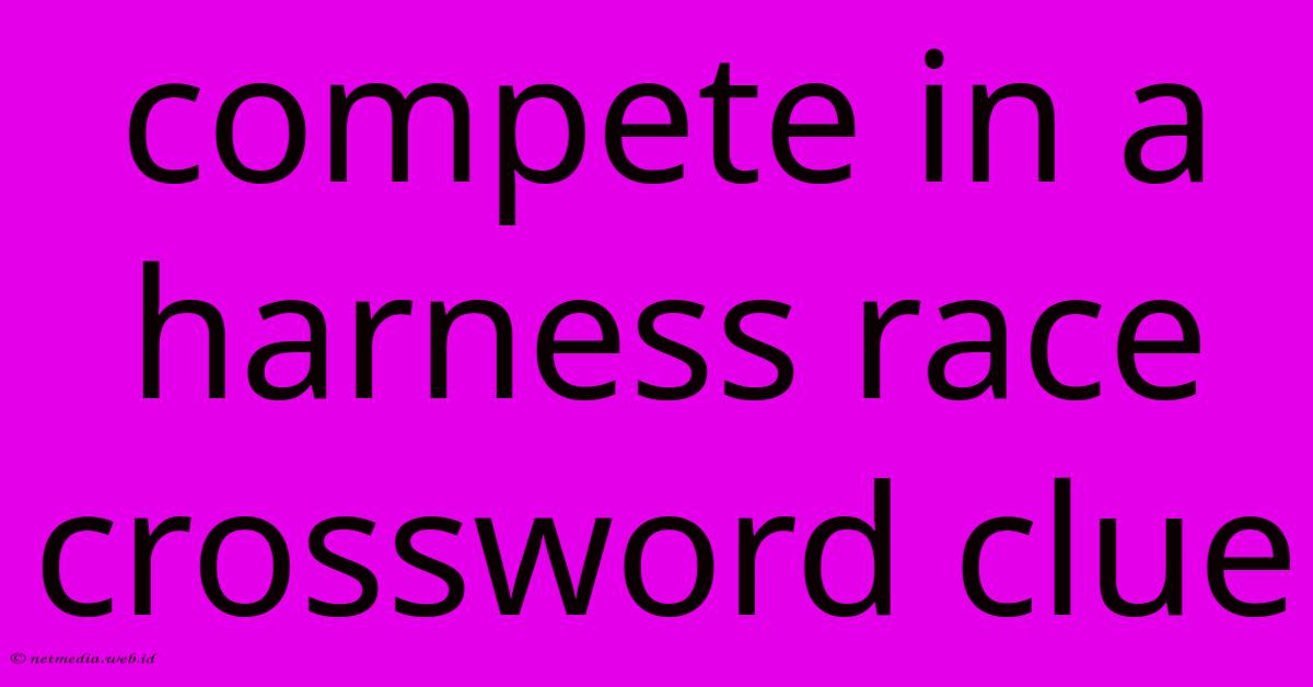 Compete In A Harness Race Crossword Clue Compete In A Harness Race Crossword Clue