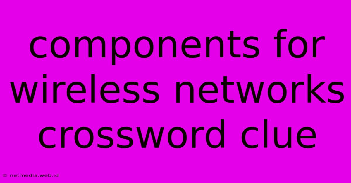 Components For Wireless Networks Crossword Clue