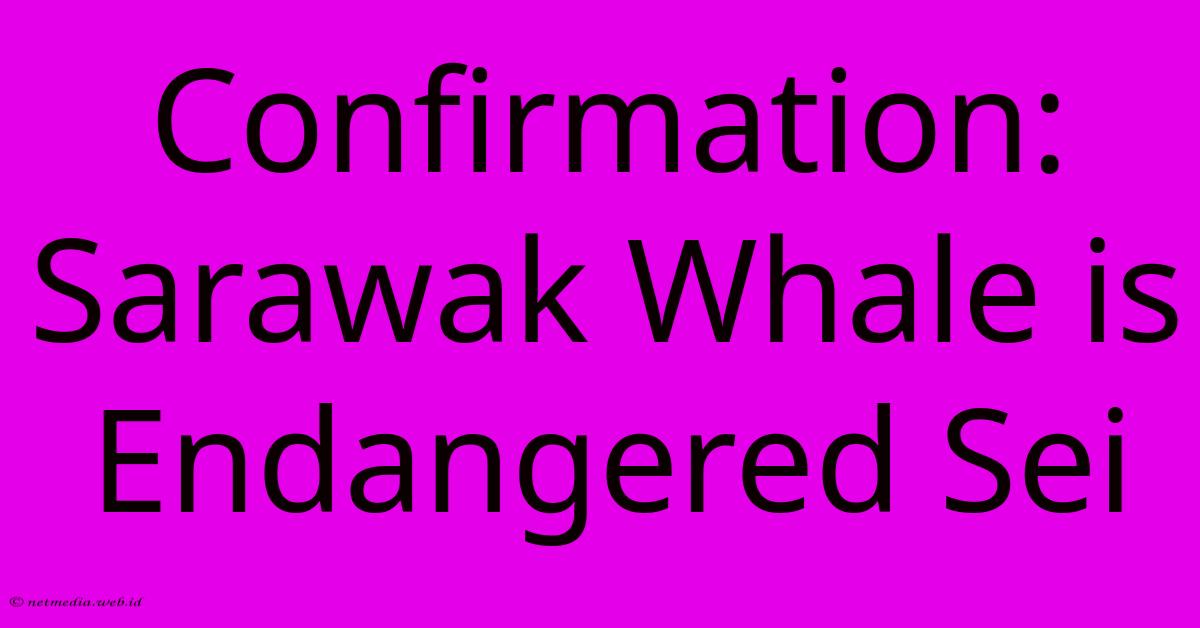 Confirmation: Sarawak Whale Is Endangered Sei Confirmation: Sarawak Whale Is Endangered Sei