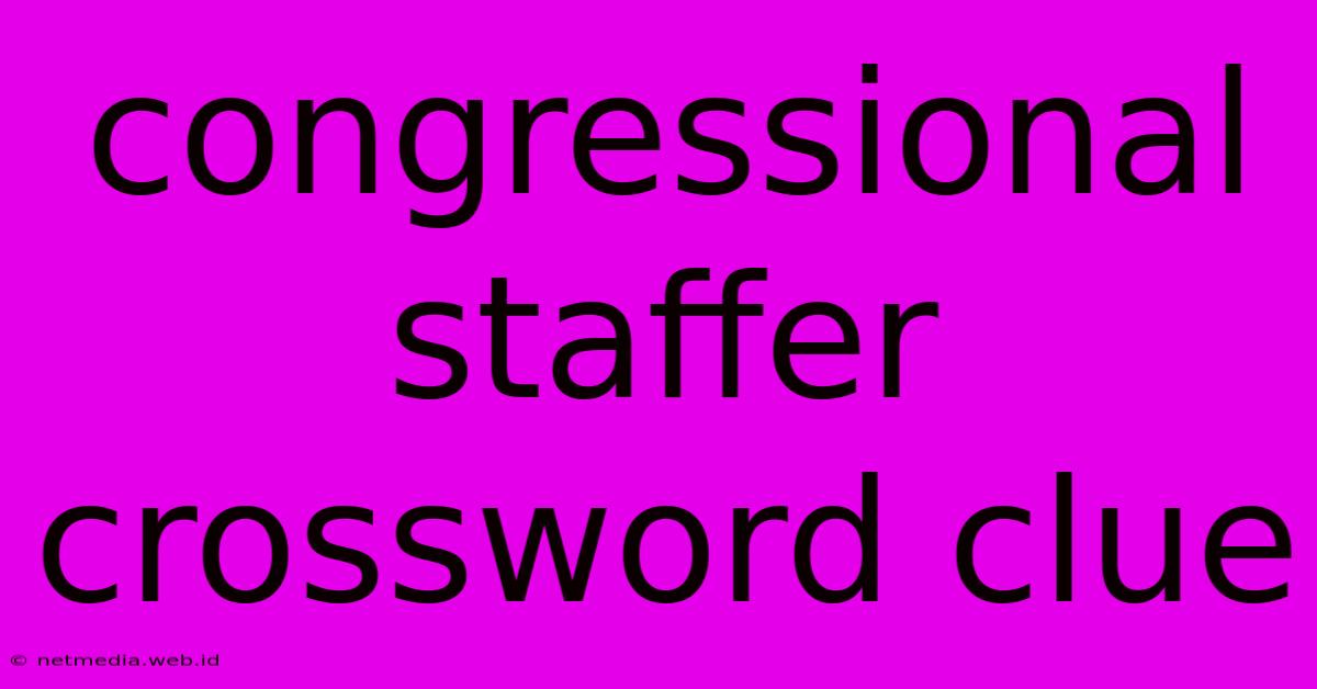 Congressional Staffer Crossword Clue