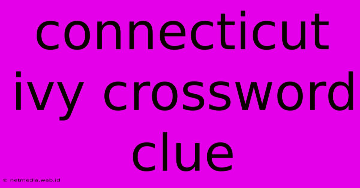 Connecticut Ivy Crossword Clue