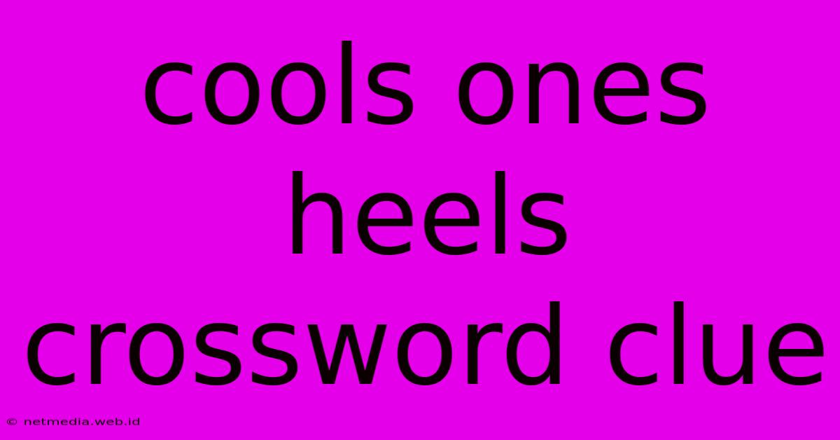 Cools Ones Heels Crossword Clue