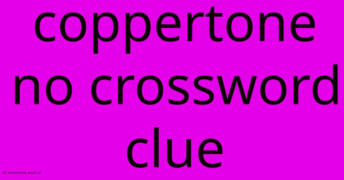 Coppertone No Crossword Clue