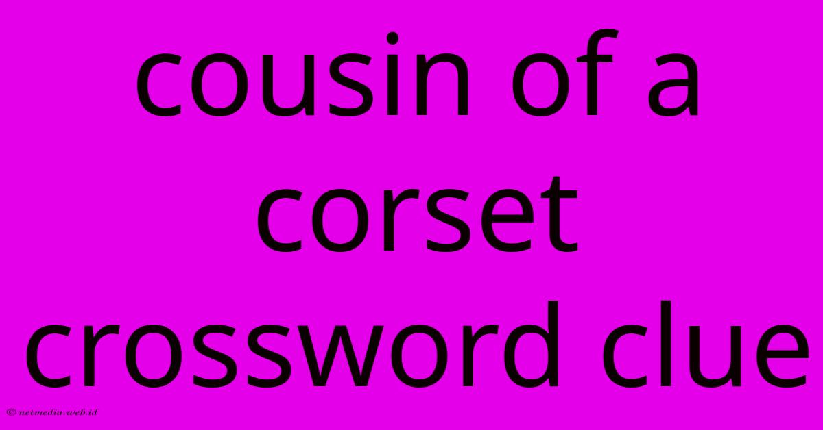 Cousin Of A Corset Crossword Clue