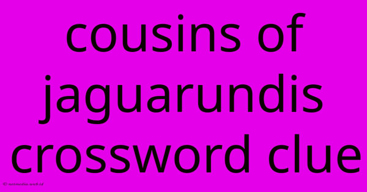 Cousins Of Jaguarundis Crossword Clue