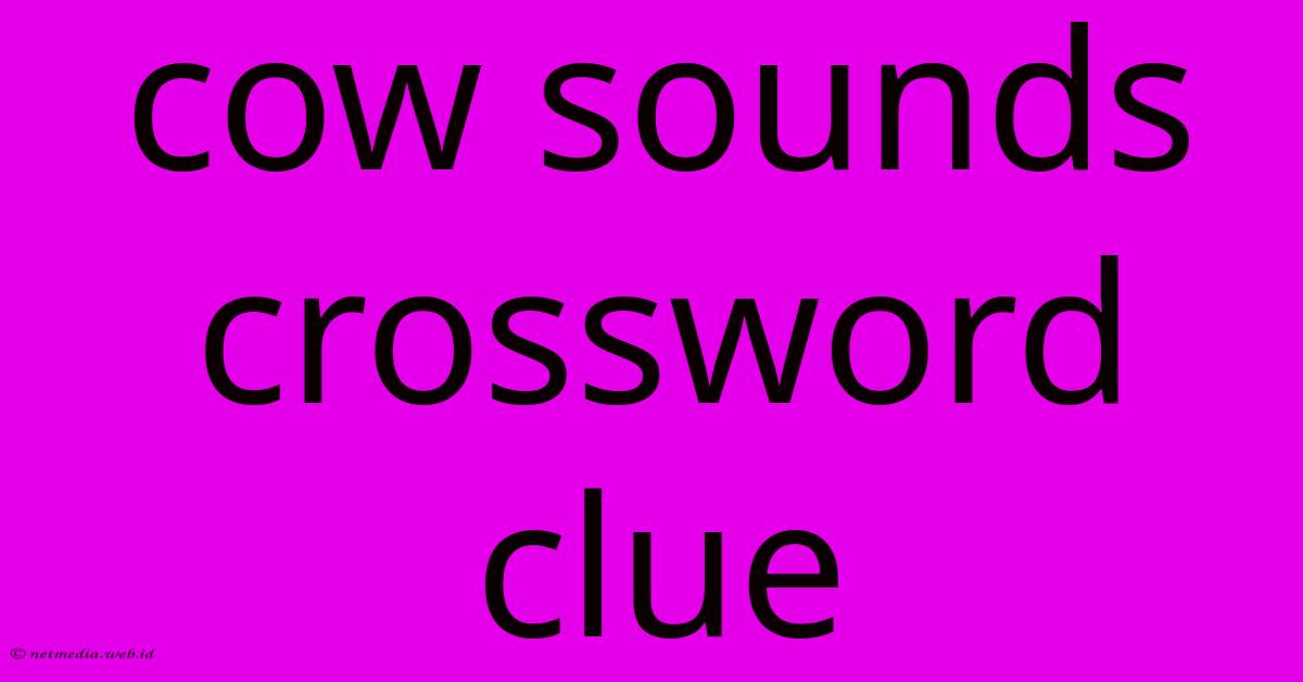 Cow Sounds Crossword Clue