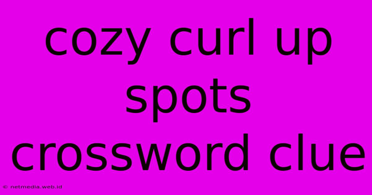 Cozy Curl Up Spots Crossword Clue