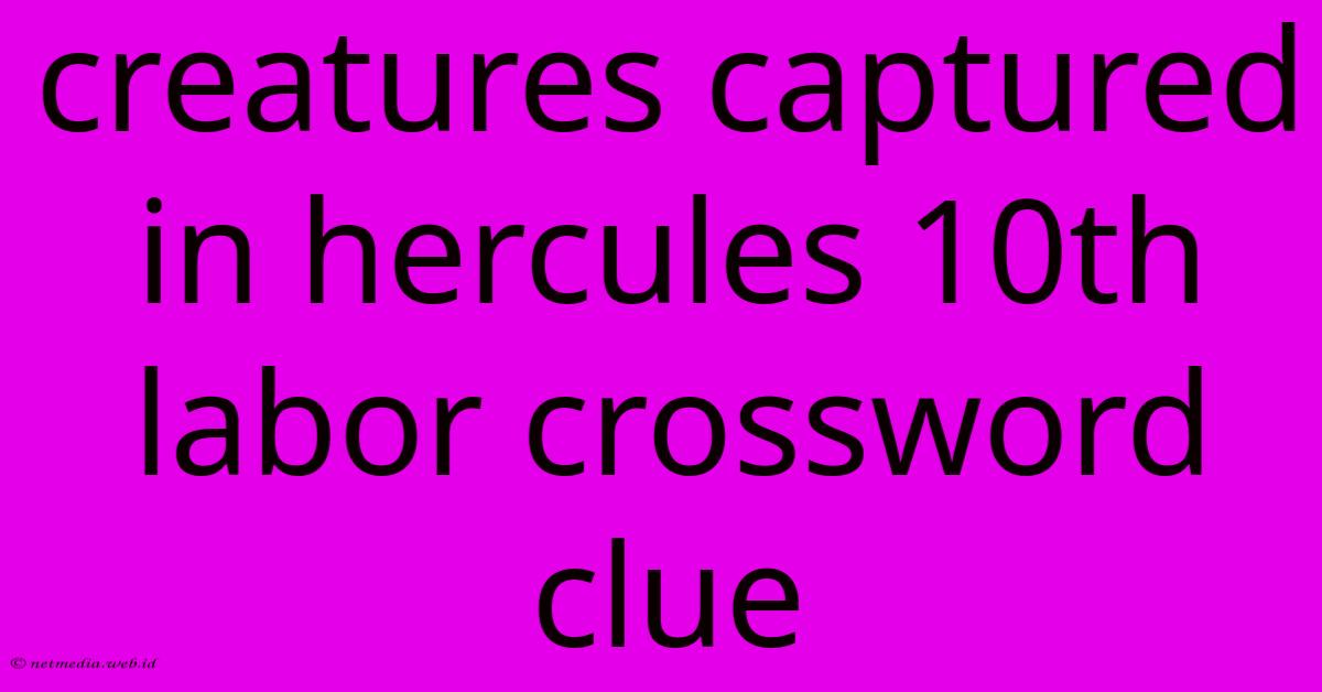 Creatures Captured In Hercules 10th Labor Crossword Clue Creatures Captured In Hercules 10th Labor Crossword Clue
