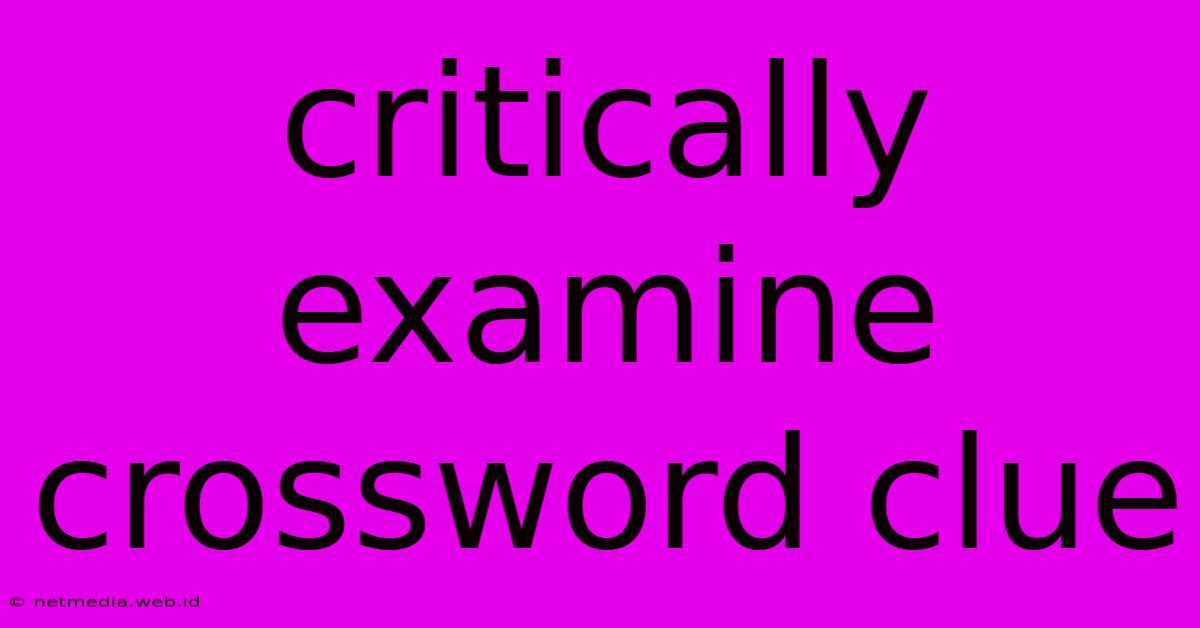 Critically Examine Crossword Clue