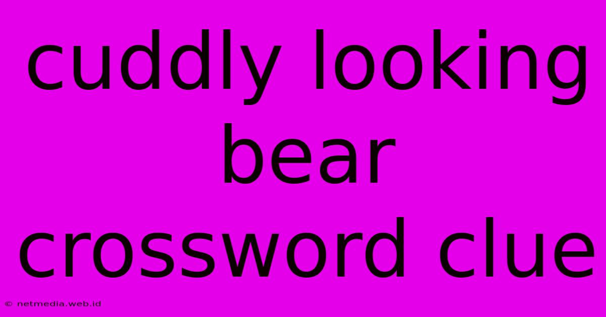 Cuddly Looking Bear Crossword Clue