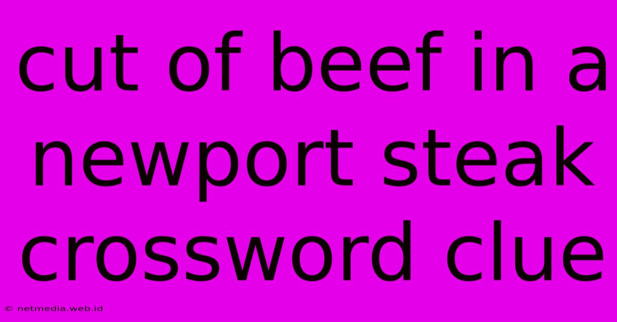 Cut Of Beef In A Newport Steak Crossword Clue