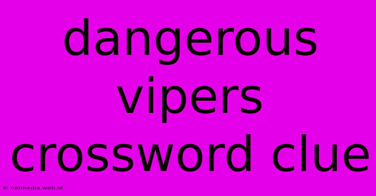 Dangerous Vipers Crossword Clue