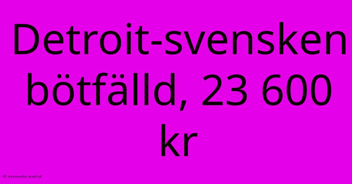 Detroit-svensken Bötfälld, 23 600 Kr Detroit-svensken Bötfälld, 23 600 Kr
