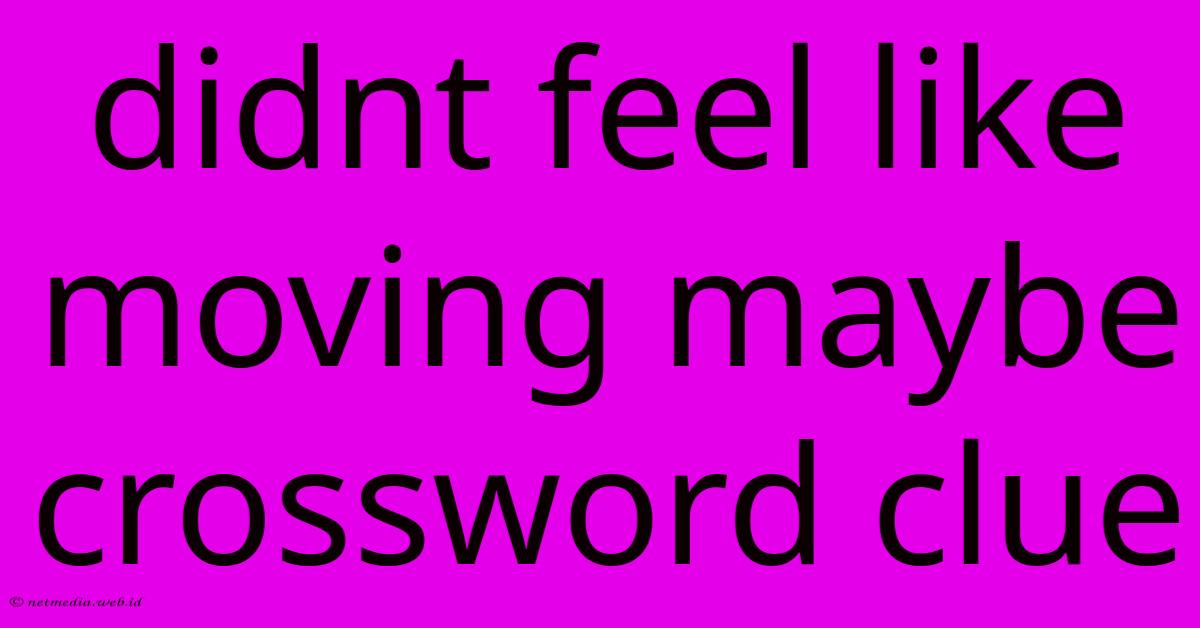 Didnt Feel Like Moving Maybe Crossword Clue